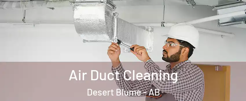  Air Duct Cleaning Desert Blume - AB