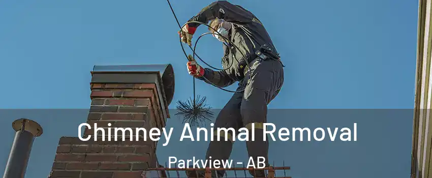  Chimney Animal Removal Parkview - AB