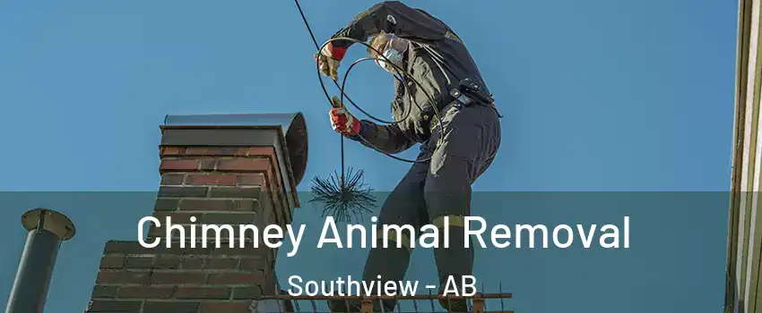  Chimney Animal Removal Southview - AB