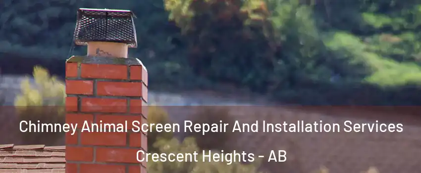  Chimney Animal Screen Repair And Installation Services Crescent Heights - AB