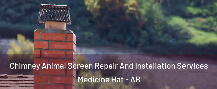  Chimney Animal Screen Repair And Installation Services Medicine Hat - AB