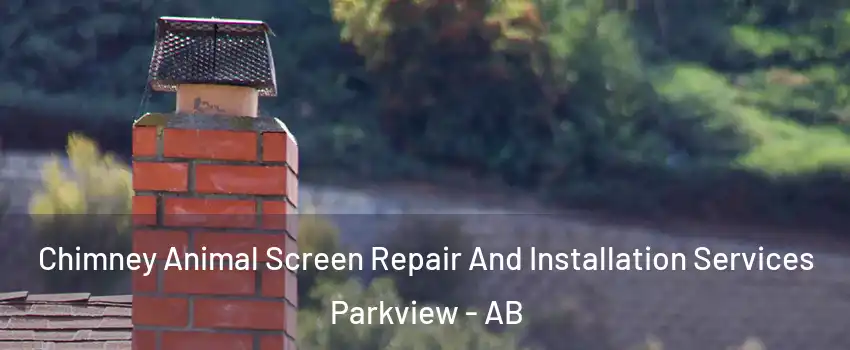  Chimney Animal Screen Repair And Installation Services Parkview - AB