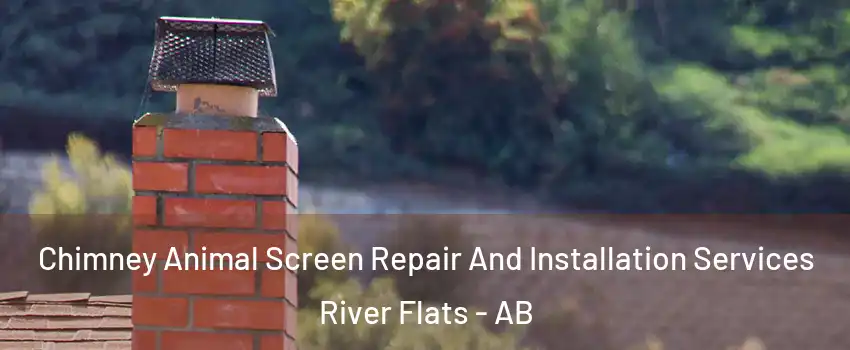  Chimney Animal Screen Repair And Installation Services River Flats - AB