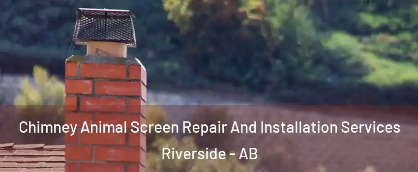  Chimney Animal Screen Repair And Installation Services Riverside - AB