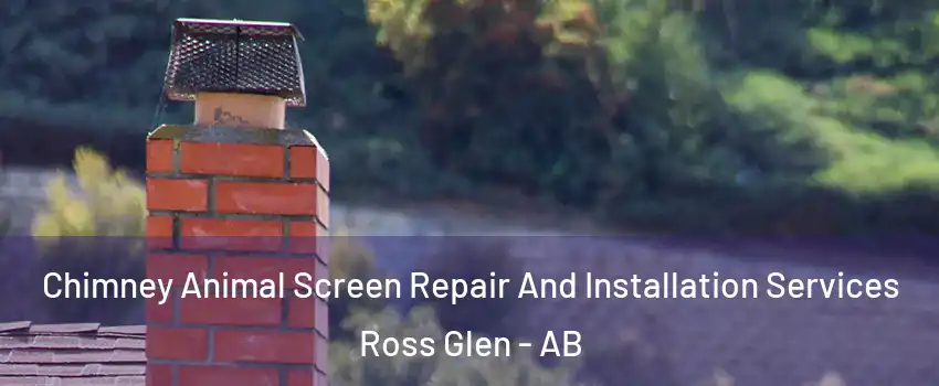  Chimney Animal Screen Repair And Installation Services Ross Glen - AB