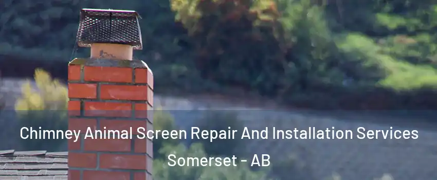  Chimney Animal Screen Repair And Installation Services Somerset - AB