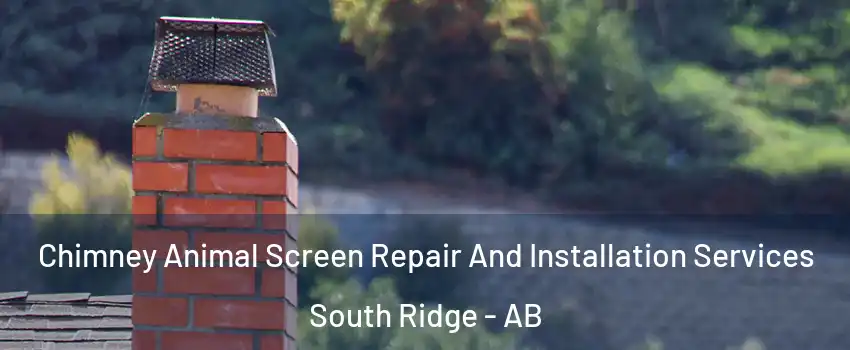  Chimney Animal Screen Repair And Installation Services South Ridge - AB