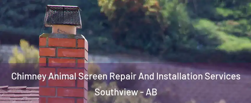  Chimney Animal Screen Repair And Installation Services Southview - AB