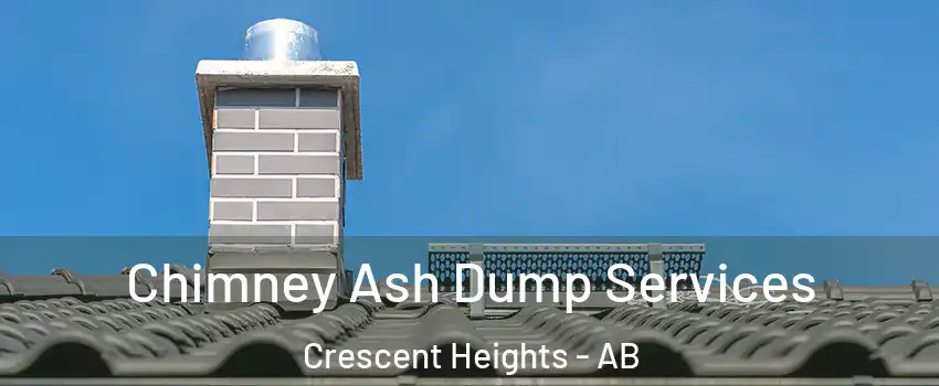  Chimney Ash Dump Services Crescent Heights - AB