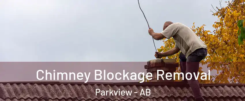  Chimney Blockage Removal Parkview - AB