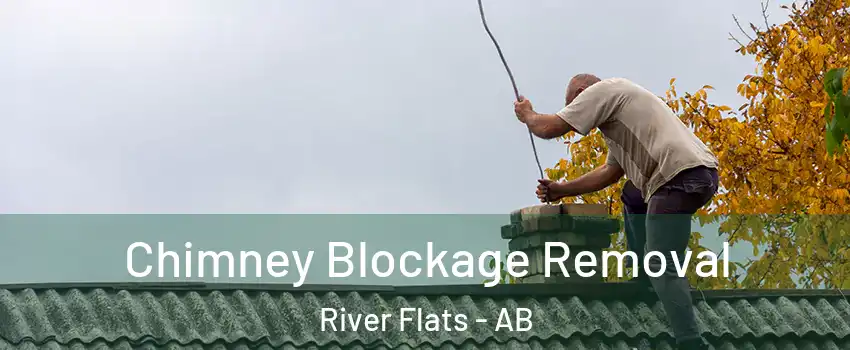  Chimney Blockage Removal River Flats - AB