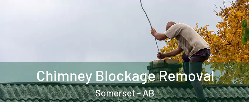  Chimney Blockage Removal Somerset - AB