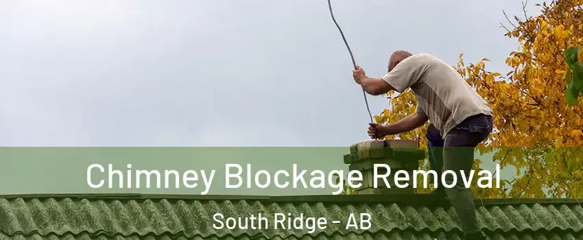  Chimney Blockage Removal South Ridge - AB