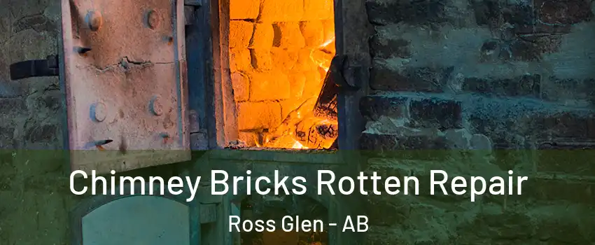  Chimney Bricks Rotten Repair Ross Glen - AB