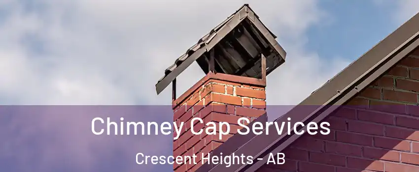  Chimney Cap Services Crescent Heights - AB