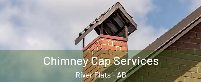  Chimney Cap Services River Flats - AB