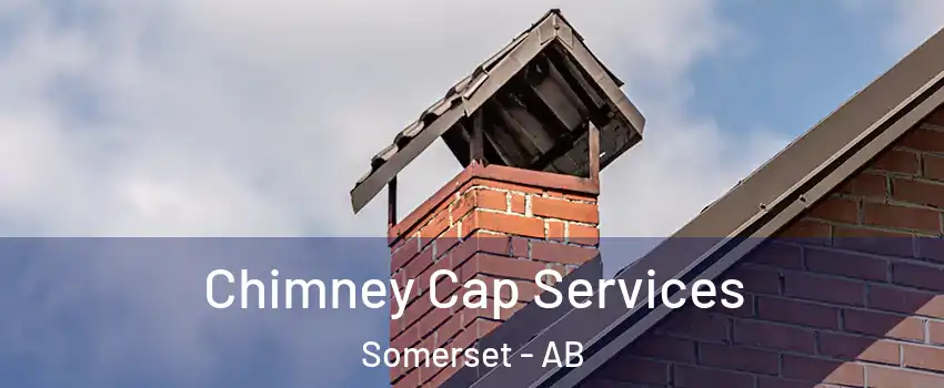  Chimney Cap Services Somerset - AB