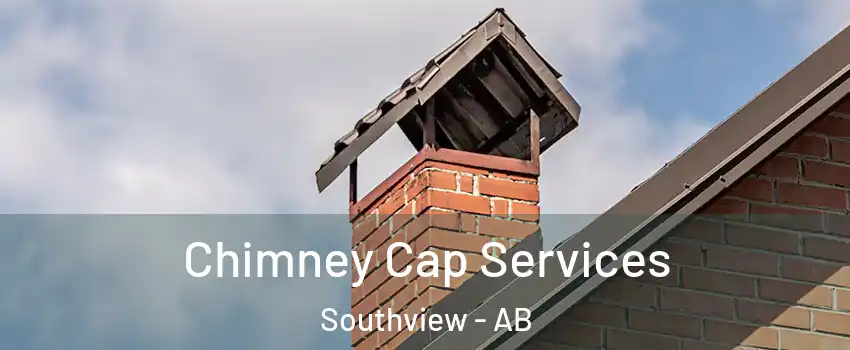  Chimney Cap Services Southview - AB