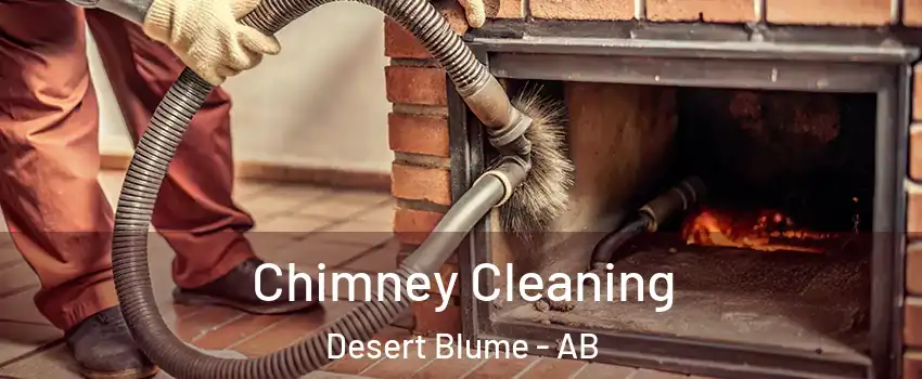  Chimney Cleaning Desert Blume - AB