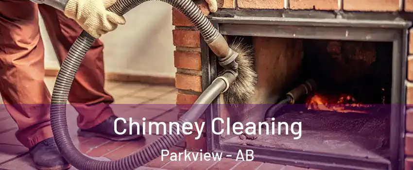  Chimney Cleaning Parkview - AB