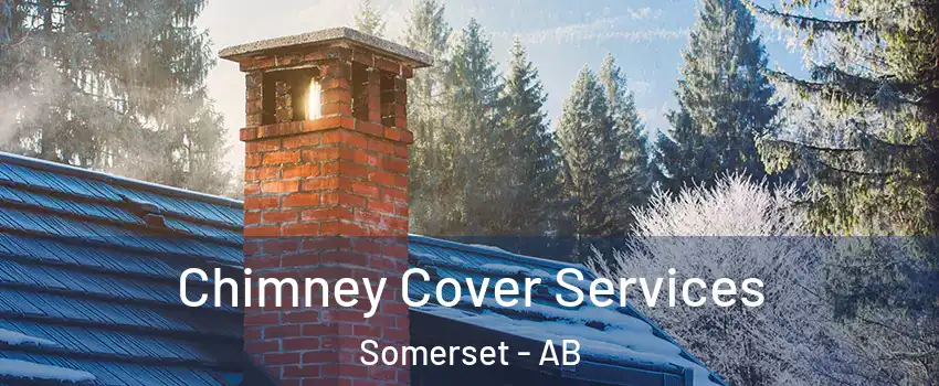  Chimney Cover Services Somerset - AB