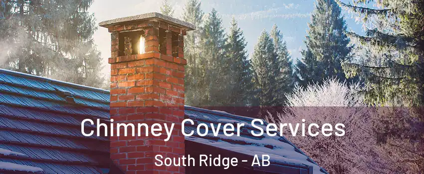  Chimney Cover Services South Ridge - AB