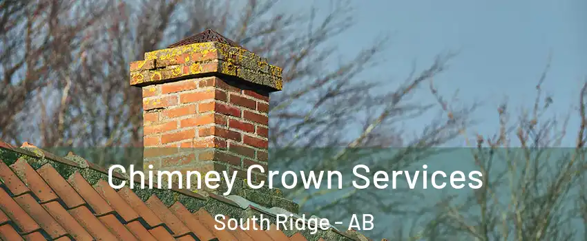  Chimney Crown Services South Ridge - AB