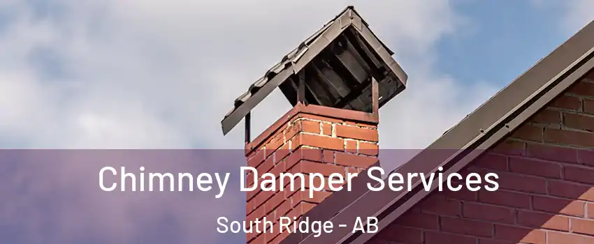  Chimney Damper Services South Ridge - AB