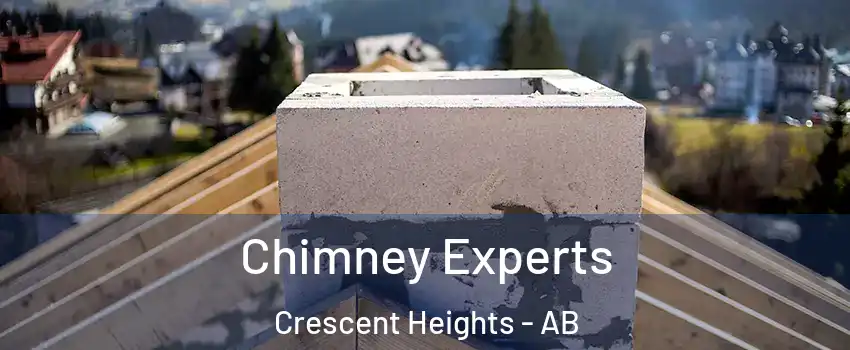  Chimney Experts Crescent Heights - AB