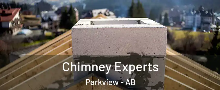  Chimney Experts Parkview - AB
