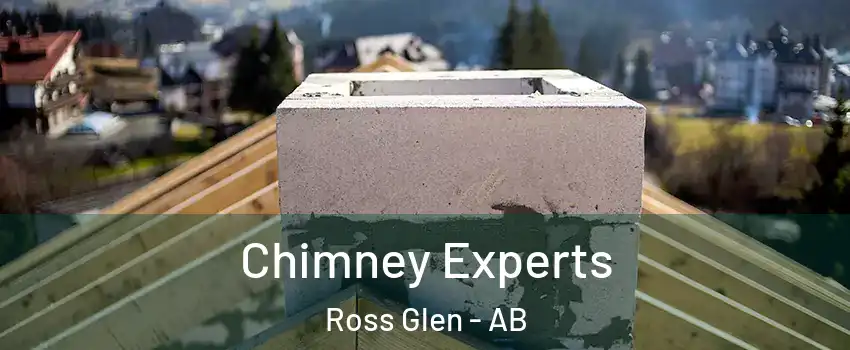  Chimney Experts Ross Glen - AB
