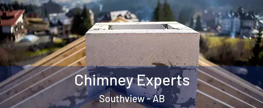  Chimney Experts Southview - AB