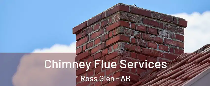  Chimney Flue Services Ross Glen - AB