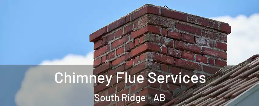  Chimney Flue Services South Ridge - AB