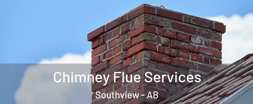  Chimney Flue Services Southview - AB
