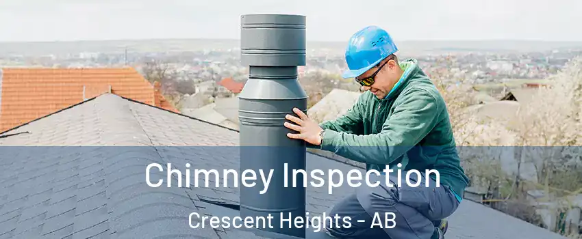  Chimney Inspection Crescent Heights - AB
