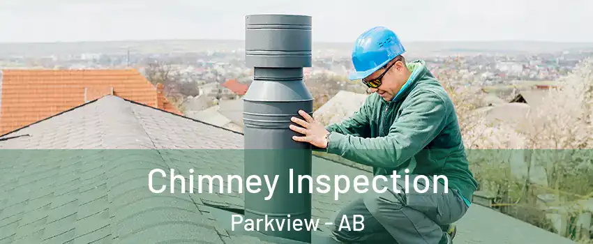  Chimney Inspection Parkview - AB