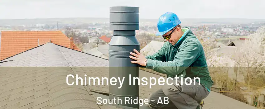  Chimney Inspection South Ridge - AB