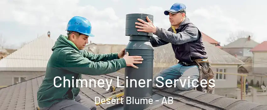  Chimney Liner Services Desert Blume - AB