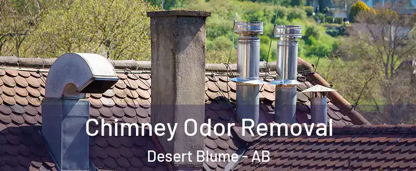  Chimney Odor Removal Desert Blume - AB