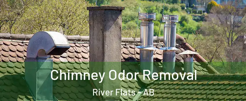  Chimney Odor Removal River Flats - AB