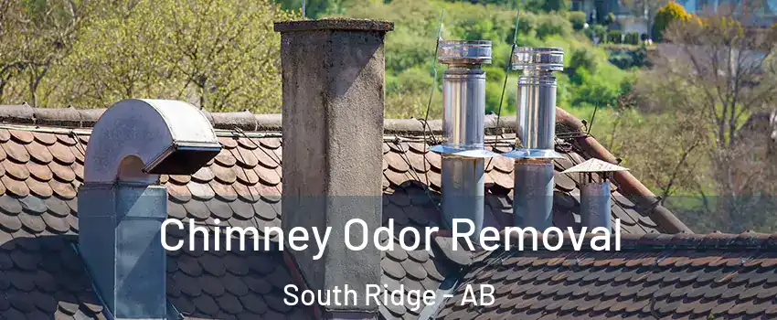  Chimney Odor Removal South Ridge - AB