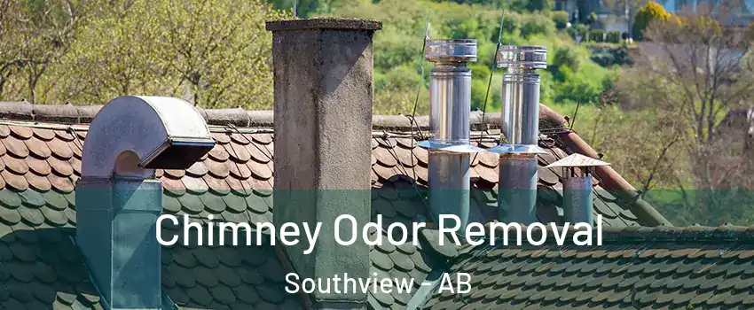  Chimney Odor Removal Southview - AB