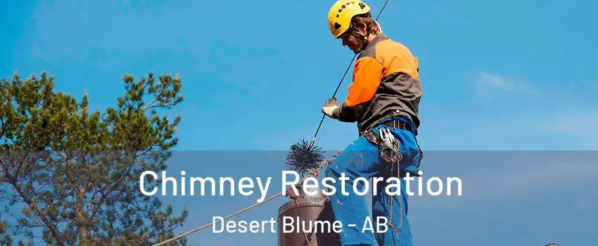  Chimney Restoration Desert Blume - AB