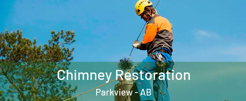  Chimney Restoration Parkview - AB