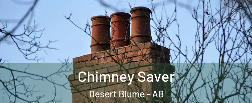  Chimney Saver Desert Blume - AB
