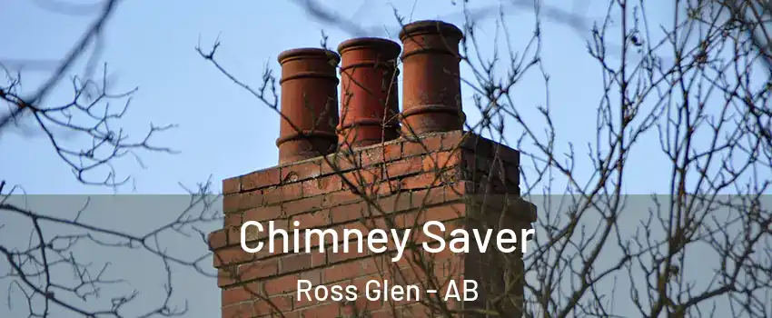  Chimney Saver Ross Glen - AB
