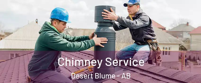  Chimney Service Desert Blume - AB