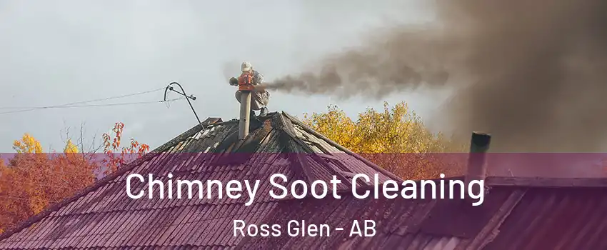  Chimney Soot Cleaning Ross Glen - AB