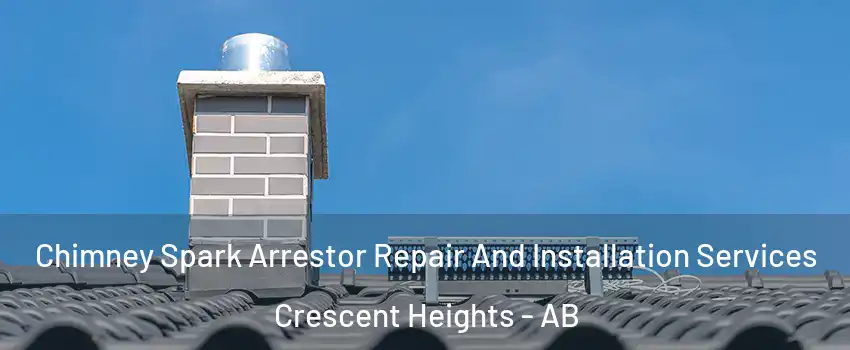  Chimney Spark Arrestor Repair And Installation Services Crescent Heights - AB